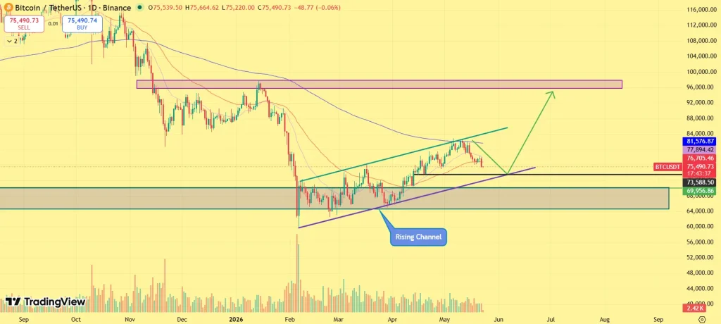 Bitcoin Price Decline