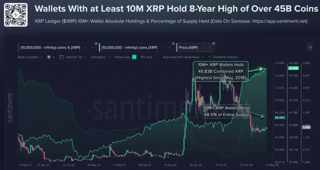 Data on XRP whales