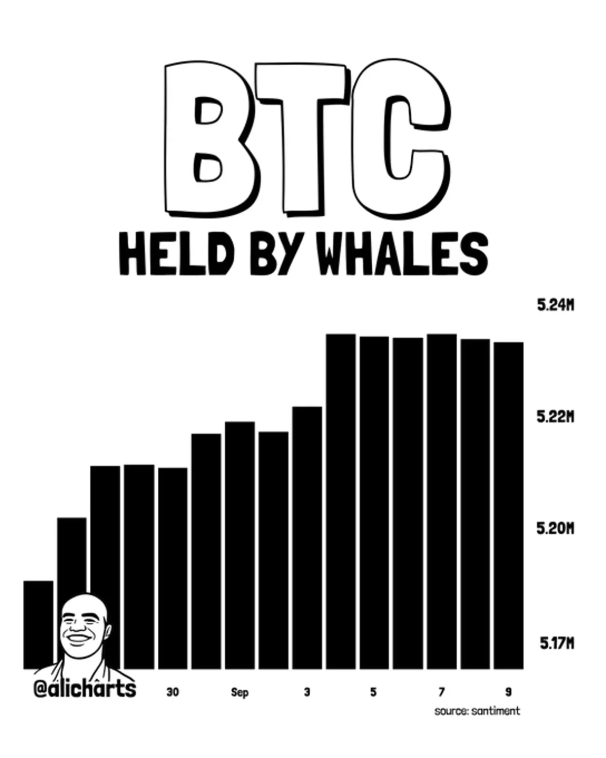 Staying Steady: Bitcoin Whales Hold 5.23 Million BTC Ahead of CPI and FOMC