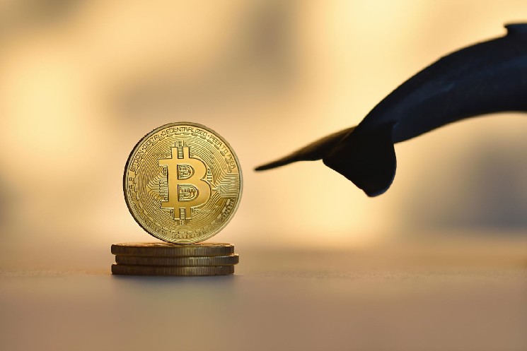 Bitcoin Whale Speaks: $381 Million on the Line After 4-Year Hiatus!