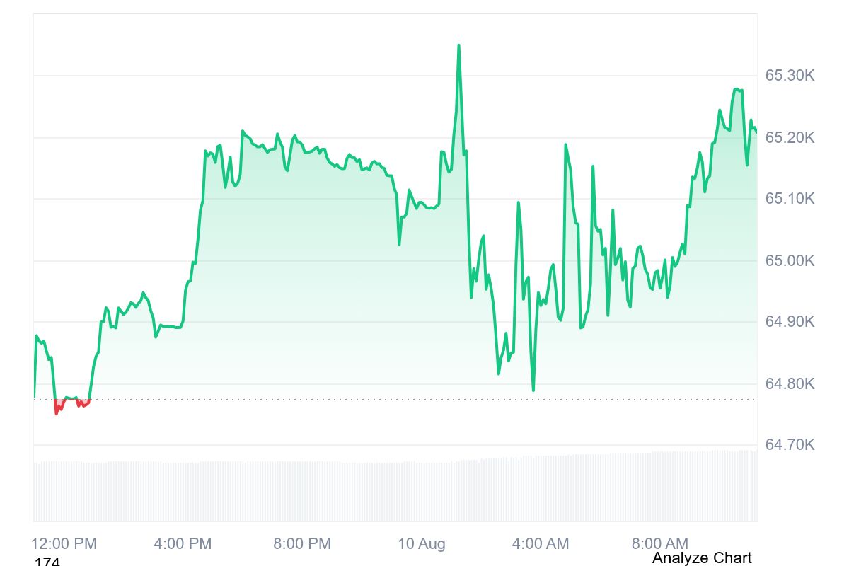 Bitcoin (BTC) 24-hour price chart showing a rebound above $65,000, with BTC climbing toward $65,300 amid volatile intraday trading.