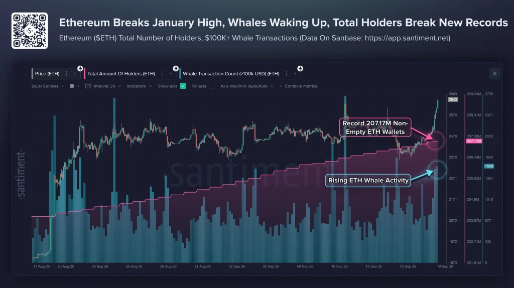 ETH whale data
