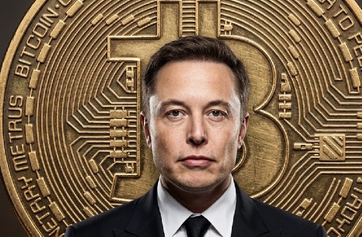 Elon Musk Breaks Silence: Bitcoin Buzz Returns!