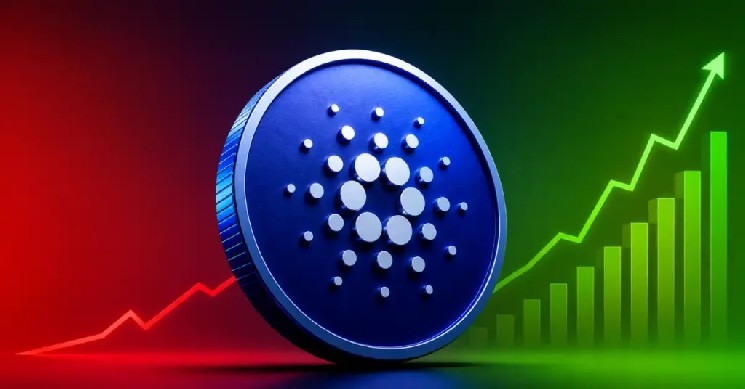 Cardano Soars Past $0.30: Will the Rally Sustain Amidst Sluggish On-Chain Data?