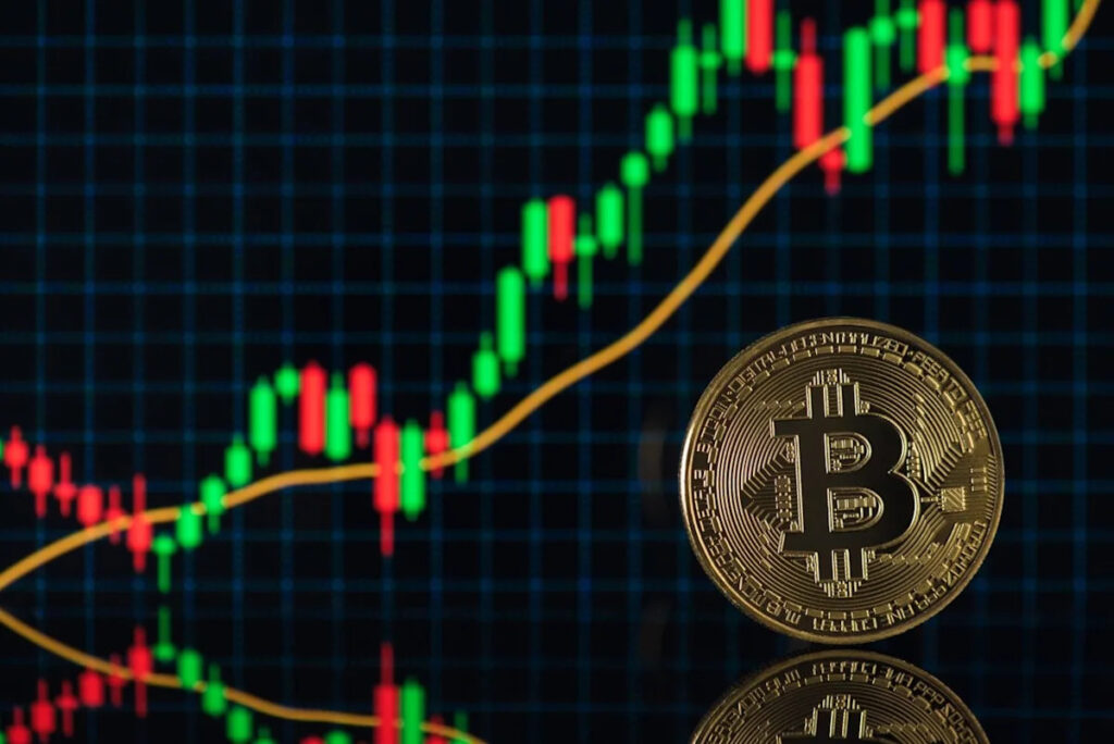 Bitcoin Dominates September: What Outshone the Digital Gold?